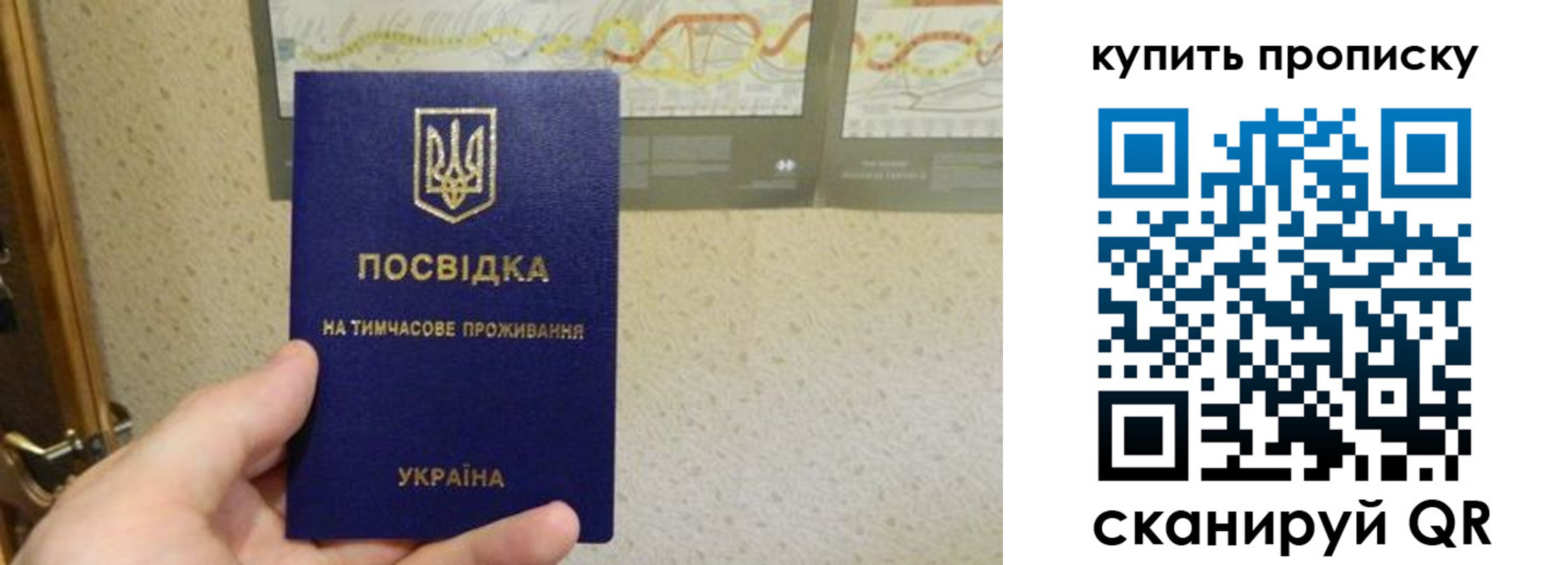 временная регистрация поиск в Белоярске